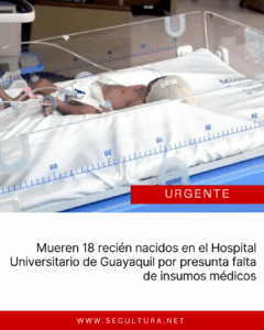 Mueren 18 recién nacidos en el Hospital Universitario de Guayaquil por presunta falta de insumos médicos